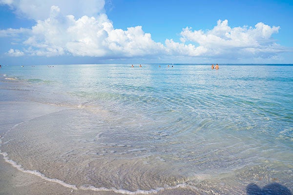 City Commission button clear ocean waters