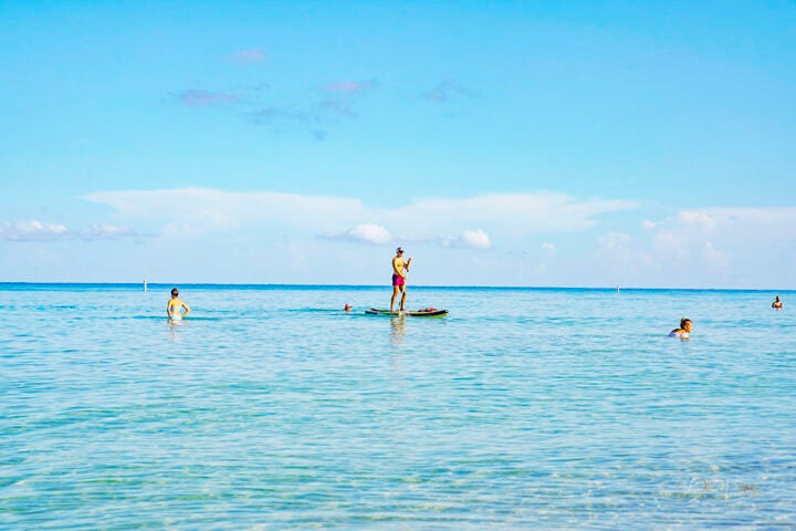paddleboarding in the ocean around swimmers